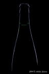linee di vino