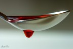 1/6s, f5, iso400, 60mm macro