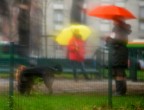 Rain Spots