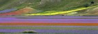 COLOURS