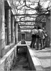 Pompei
Casa detta di Loreio Tiburtino, appartenuta a D. Octavius Quartio (II sec. a.C.) 

Scansione da pellicola Ilford FP4 
Yashica FR con 105 mm