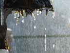Acqua e luce