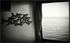Voglia di mare