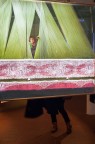 Terni;Esposizione Steve McCurry