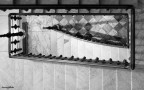 Exposure	0.033 sec (1/30)
Aperture	f/1.8
Focal Length	50 mm

La foto  stata scattata in un ambiente scuro. Luce delle scale.