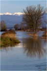 Panorama nel padule