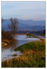 Panorama nel padule