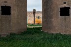Tutta colpa del Punteruolo Rosso