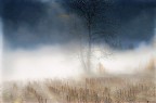 il potere della luce