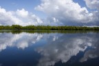 Riflessi