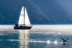 il lago d'inverno