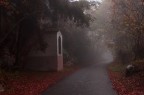 Cercando la via