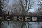 Jogging sull'Adda Jogging sull'Adda