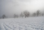 campi di neve