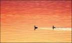 Passeggiata al crepuscolo