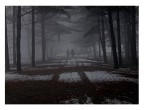 in due nella nebbia