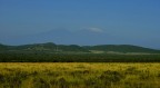 orizzonti lontani