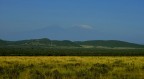 Cercando di riprodurre la vastit e la diversit dell'ambiente.
T 1/2000 F 8 Iso 400 focale 55mm