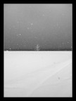 solitario