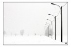 neve