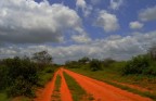 Red road wild!!!!
