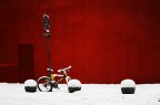 oggi neve