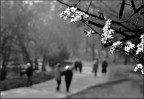 Passeggio
