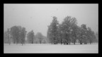 semplicemente inverno