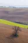 Terre Toscane - Val D'Orcia