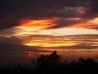 Tramonto di giungla velletrana