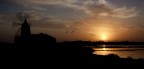 Canon 50D
