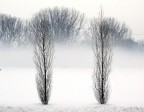 NEVE E NEBBIA