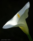 ST