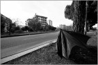 ...nel viale...