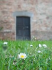 Primavera e antico