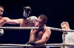 boxe