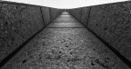 illusion