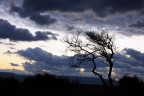 TRAMONTO