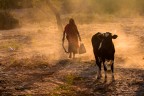 Lavoro