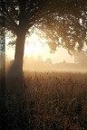 Luci dell'alba