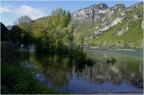 Lago alberato