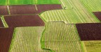 Campagne