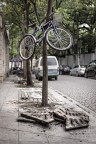 Bike tree