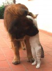 Confidenze...