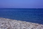 Il dipinto