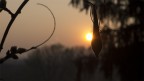 Panasonic LX-5 f/3.3 1/1000 iso100

fotografia scattata al tramonto di uno degli ultimi giorni dell`inverno appena trascorso