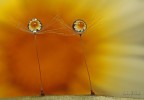 Riflessi/2