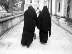 Il passeggino