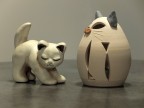 Corteggiamento felino