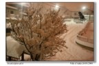 fermarsi ad ammirare una bella nevicata